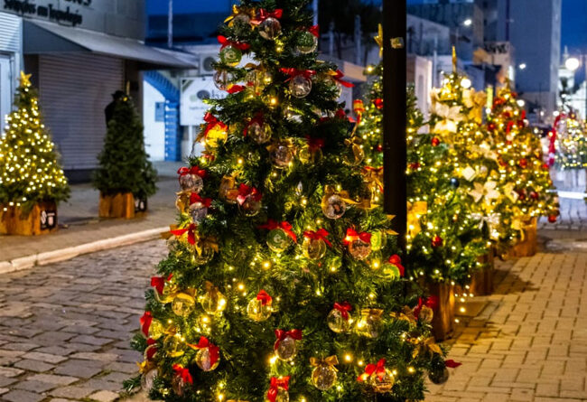 ÚLTIMAS UNIDADES: circuito de árvores de Natal do IDEA vai transformar o Centro Histórico de Atibaia em espetáculo de luzes e magia
