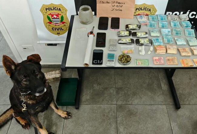 Operação conjunta entre GCM e Polícia Civil cumpre mandados e apreende drogas em Atibaia